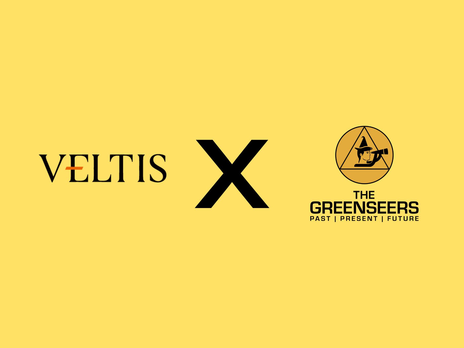 How The Greenseers Drove 15 Sales for Veltis respair with Digital-First Marketing